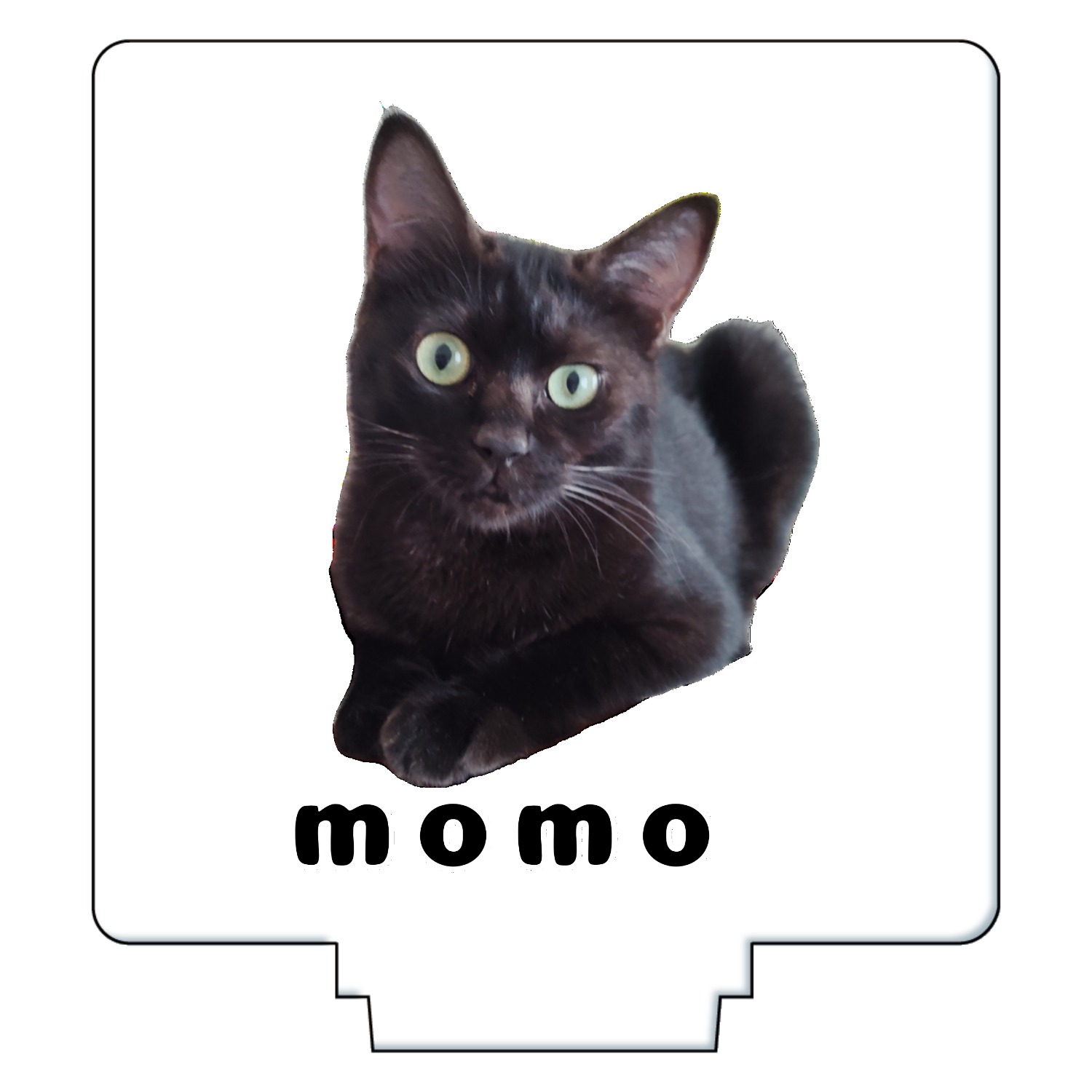 黒ねこももちゃん アクリルフィギュア正方形(50×50mm)