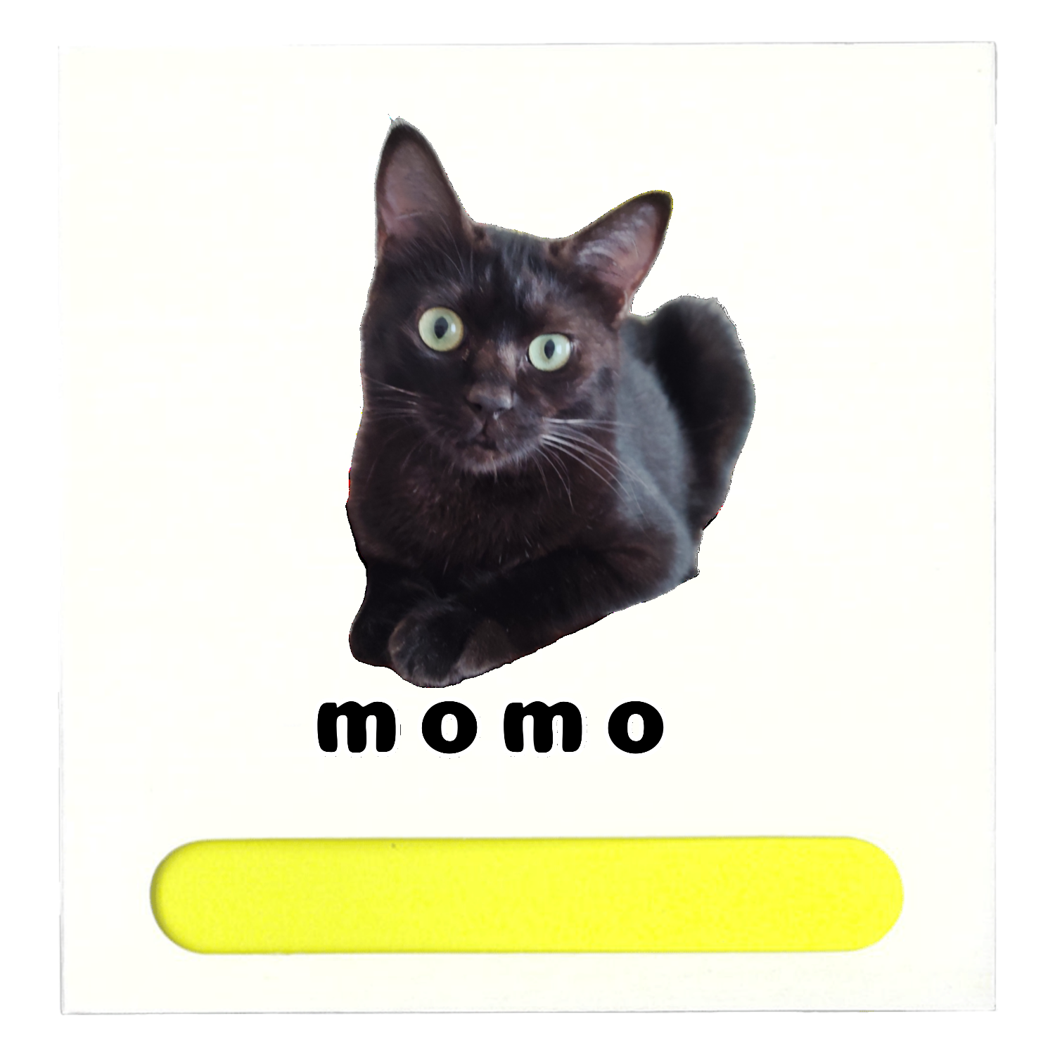 黒ねこももちゃん ポケット付箋セット(M)