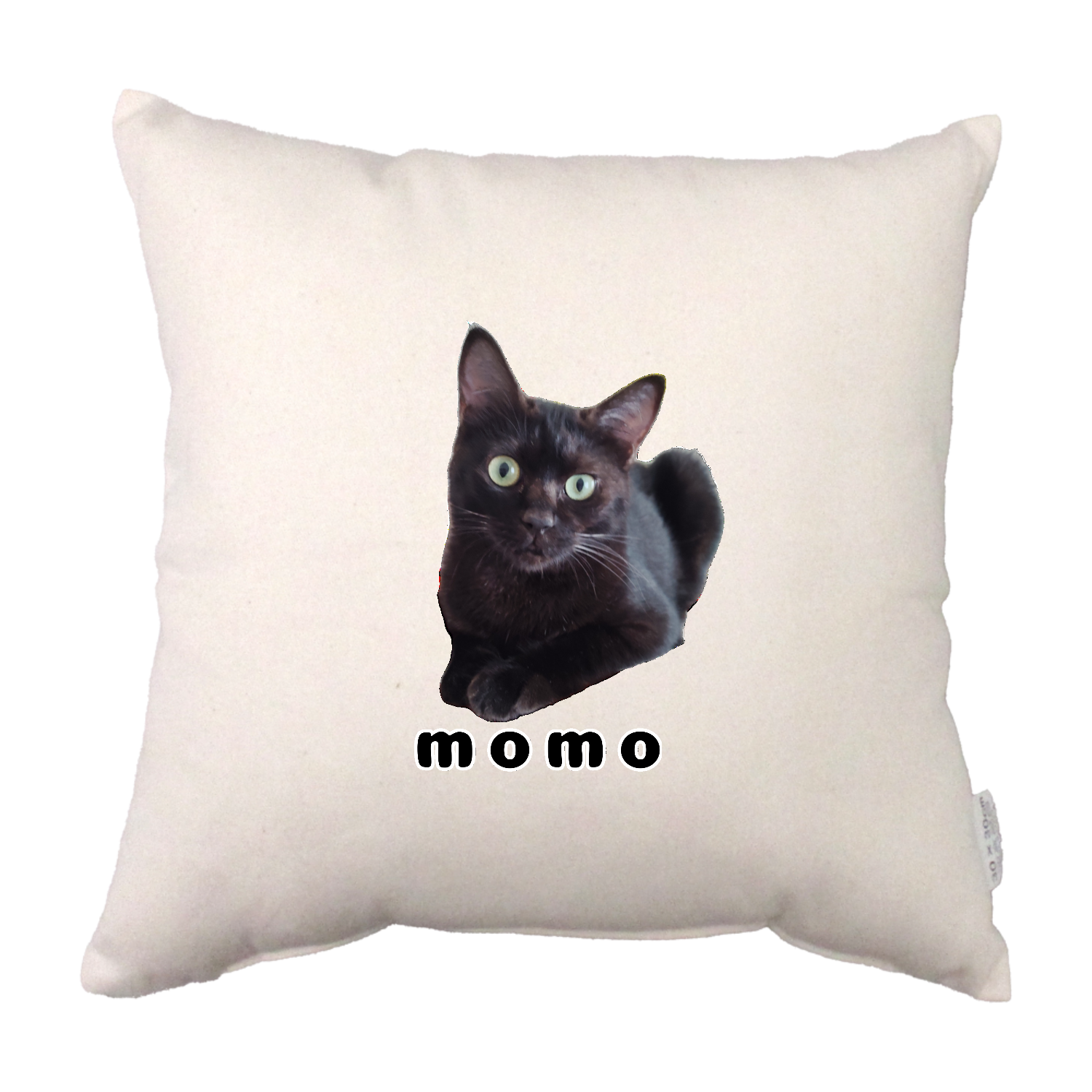 黒ねこももちゃん コットンクッション