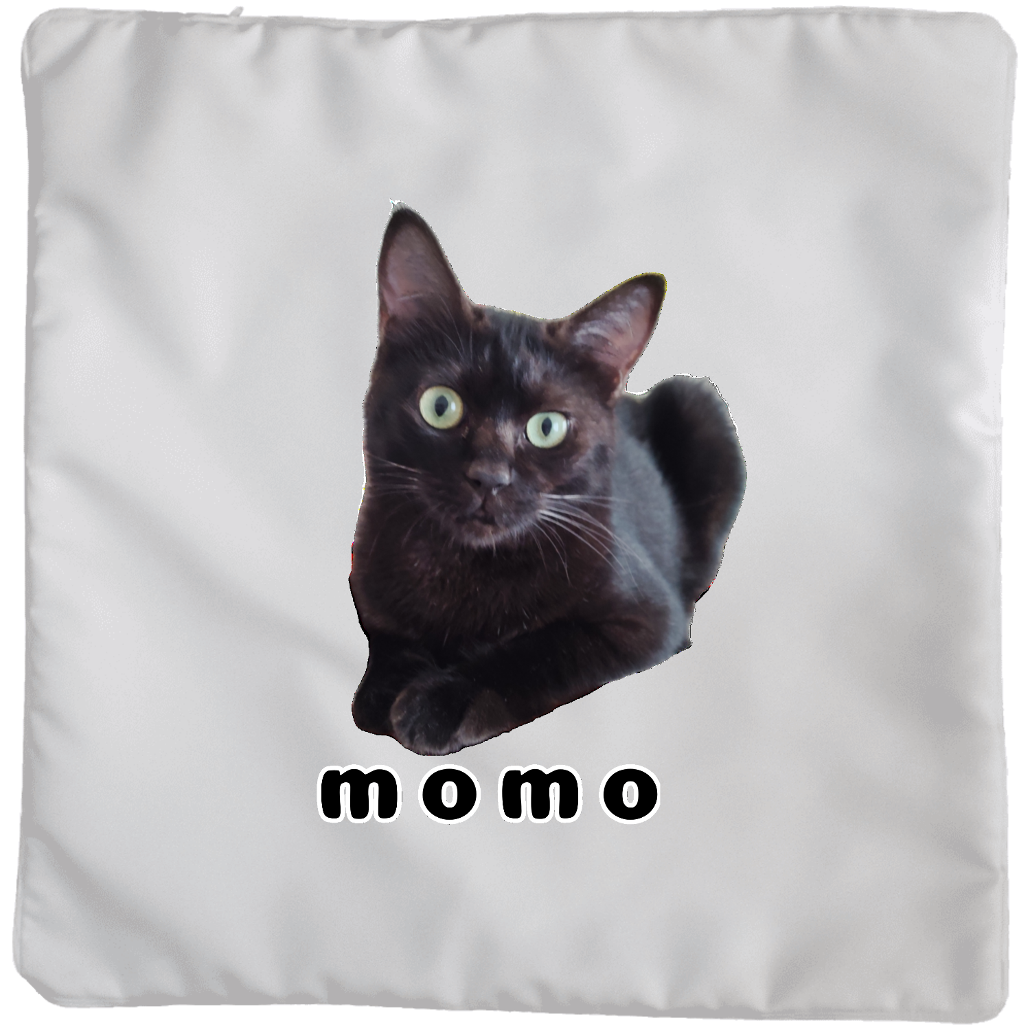 黒ねこももちゃん クッション(大)