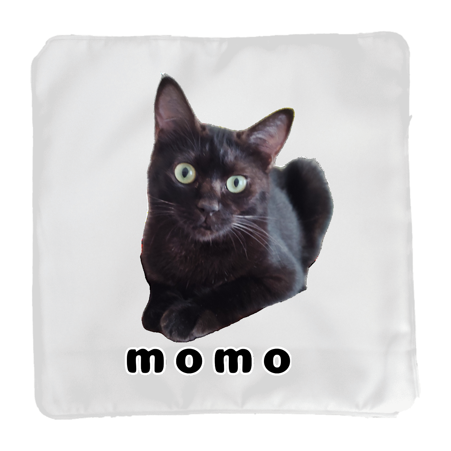 黒ねこももちゃん クッション(小)