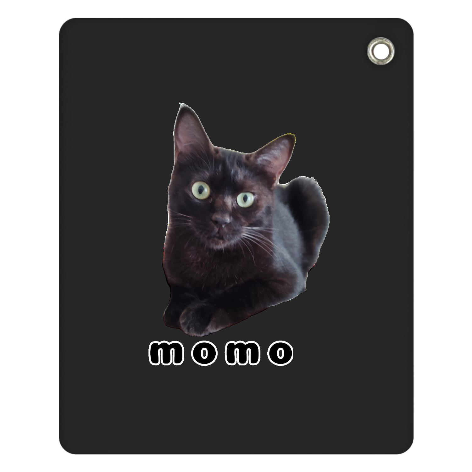 黒ねこももちゃん スライドアクリルミラー スクエア