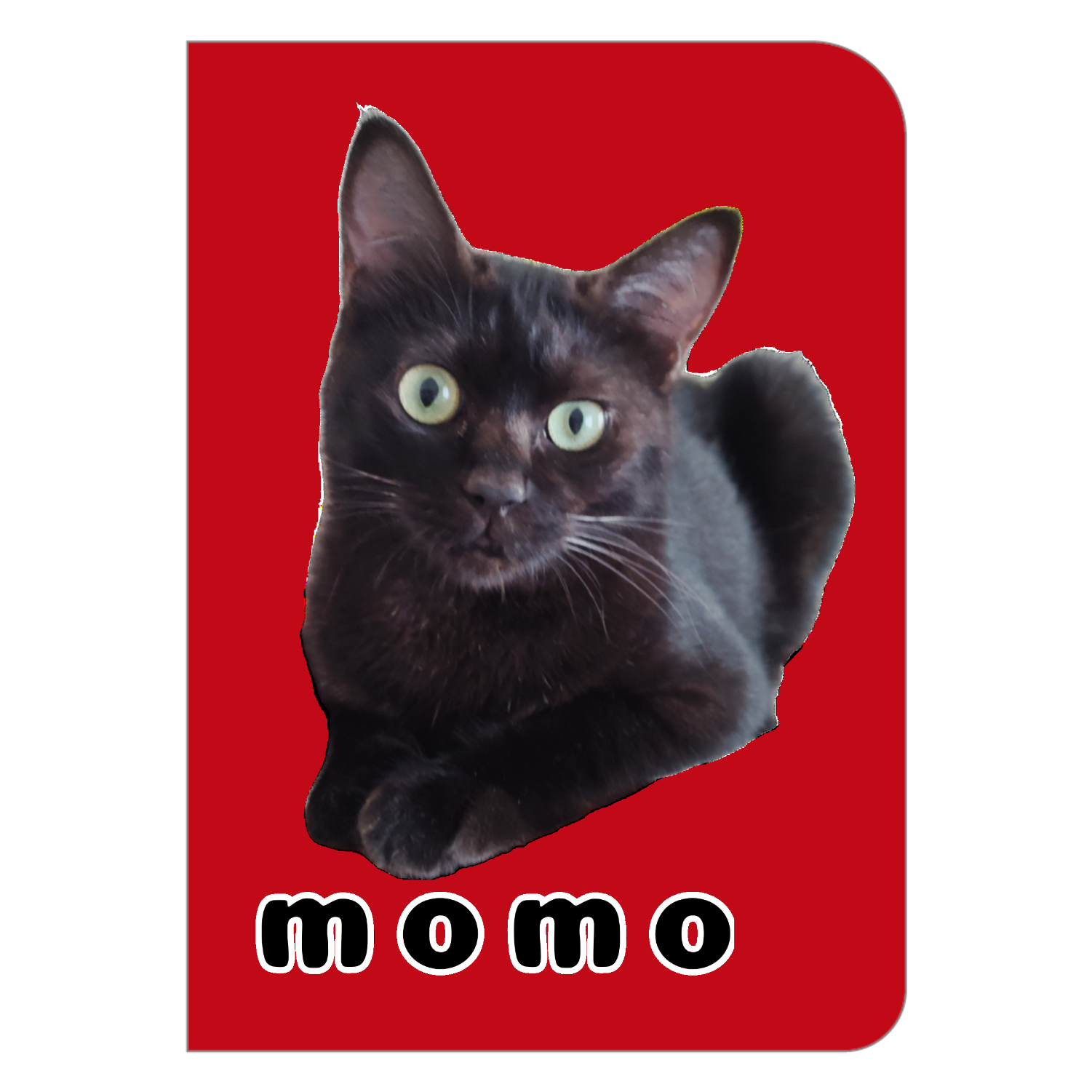 黒ねこももちゃん ハードカバーポケットノート