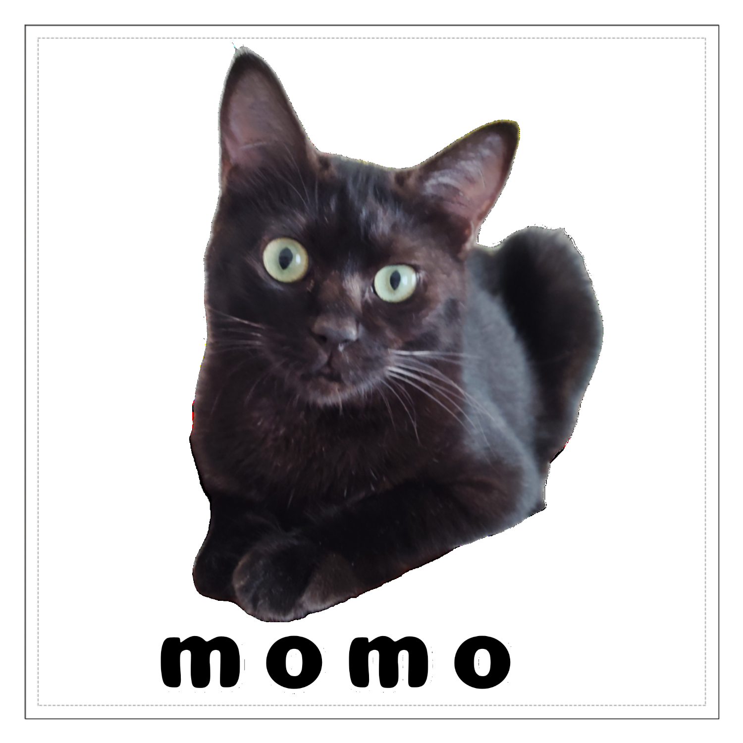 黒ねこももちゃん 160mmクリアステッカー・シール