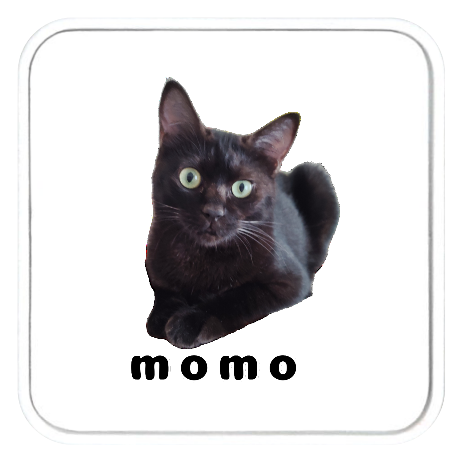 黒ねこももちゃん チャームバッグハンガー