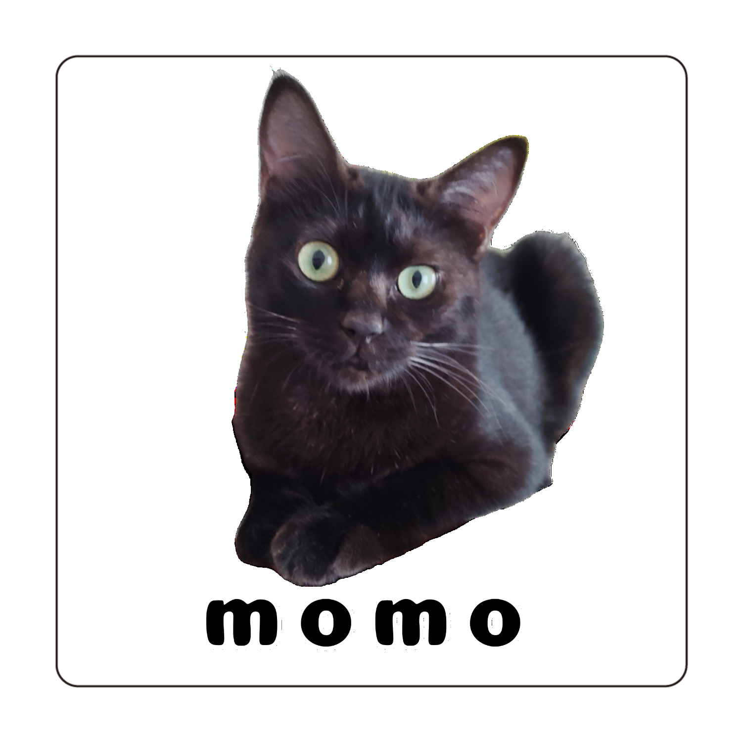 黒ねこももちゃん 珪藻土コースター (四角)