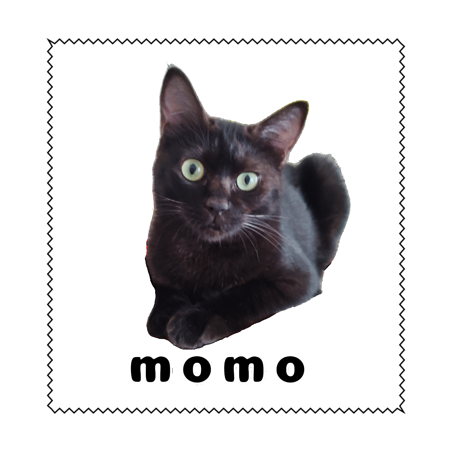 黒ねこももちゃん マイクロファイバーメガネ拭き