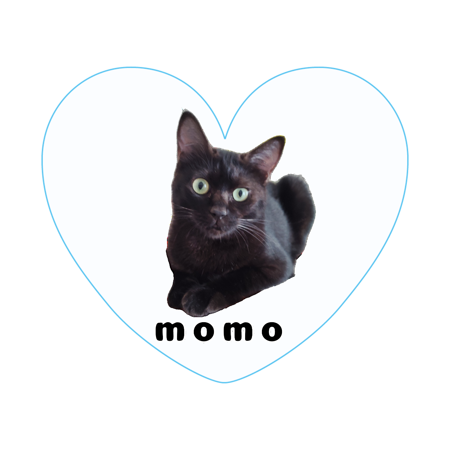 黒ねこももちゃん アクリルバッジハート(58x50mm)