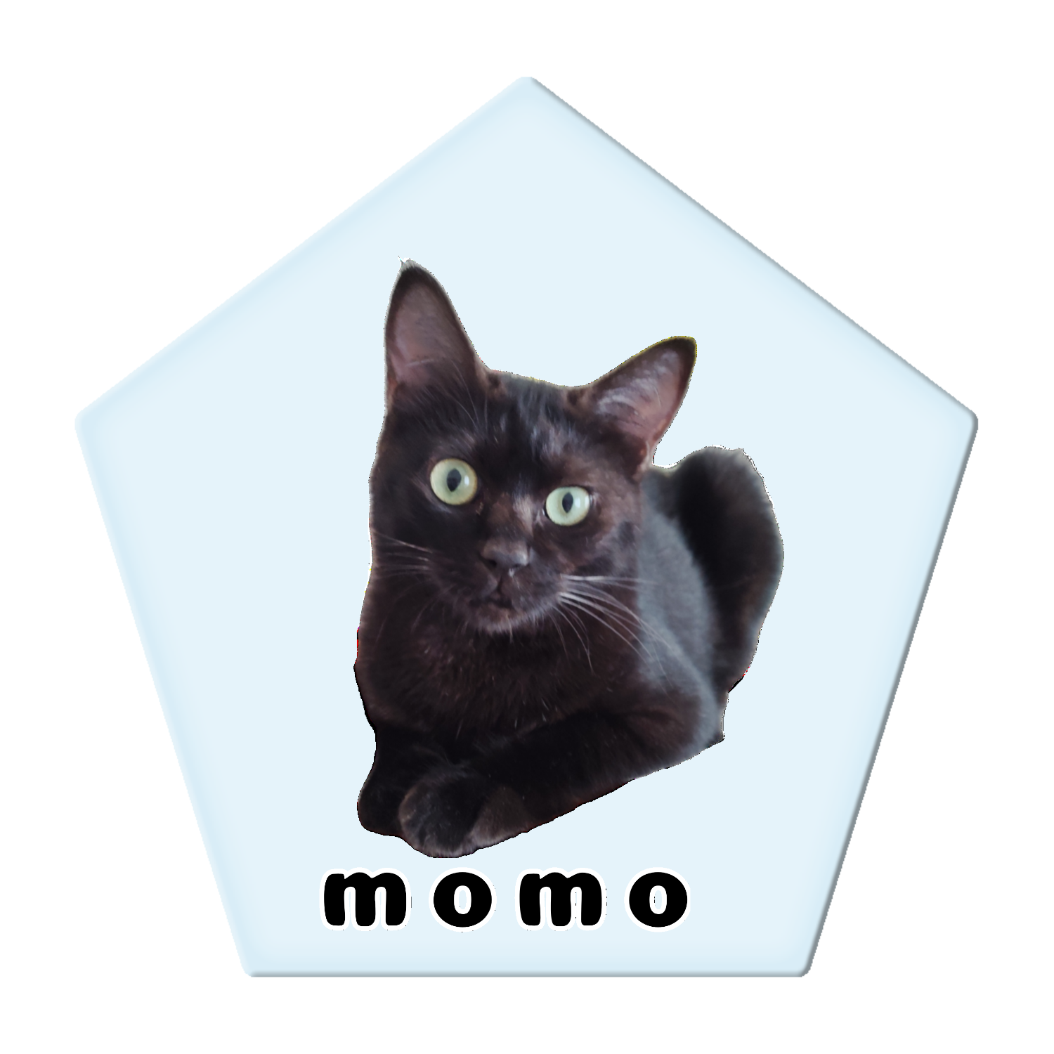 黒ねこももちゃん アクリルコースター 五角形