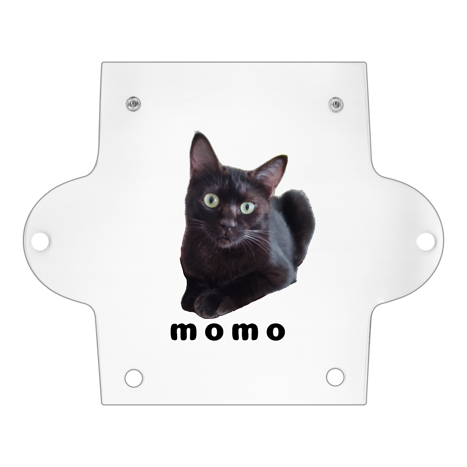 黒ねこももちゃんPVC マルチケース1