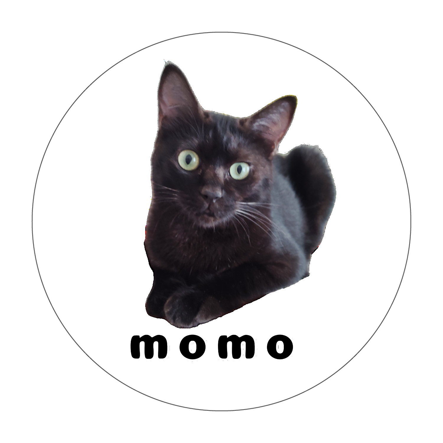 黒ねこももちゃん ソフトコースター ラウンド