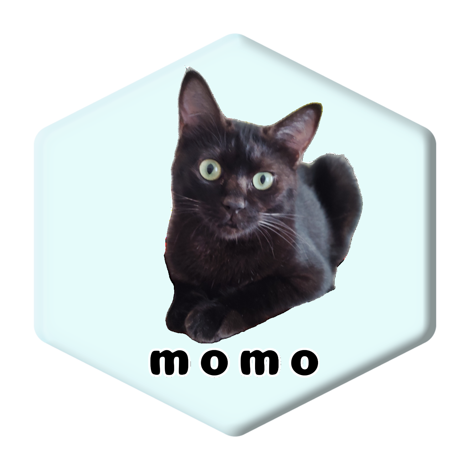 黒ねこももちゃん アクリルコースター 六角形