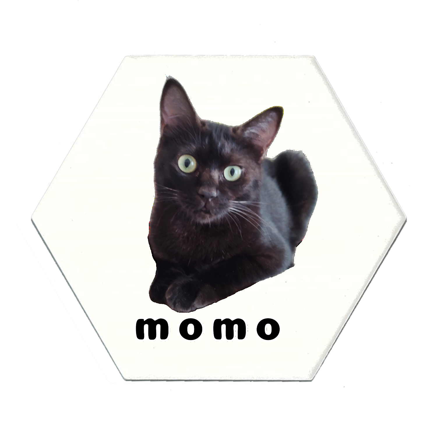 黒ねこももちゃん 白雲石入り吸水コースター　六角