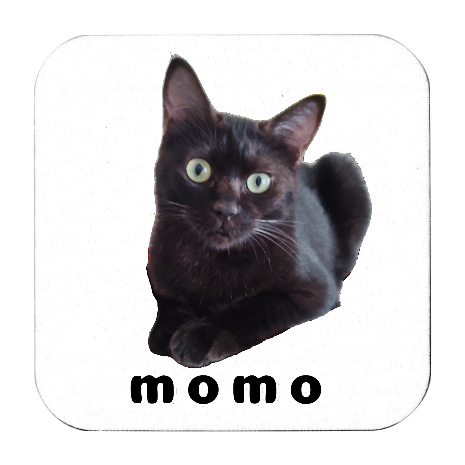 黒ねこももちゃん ソフトコースター スクエア