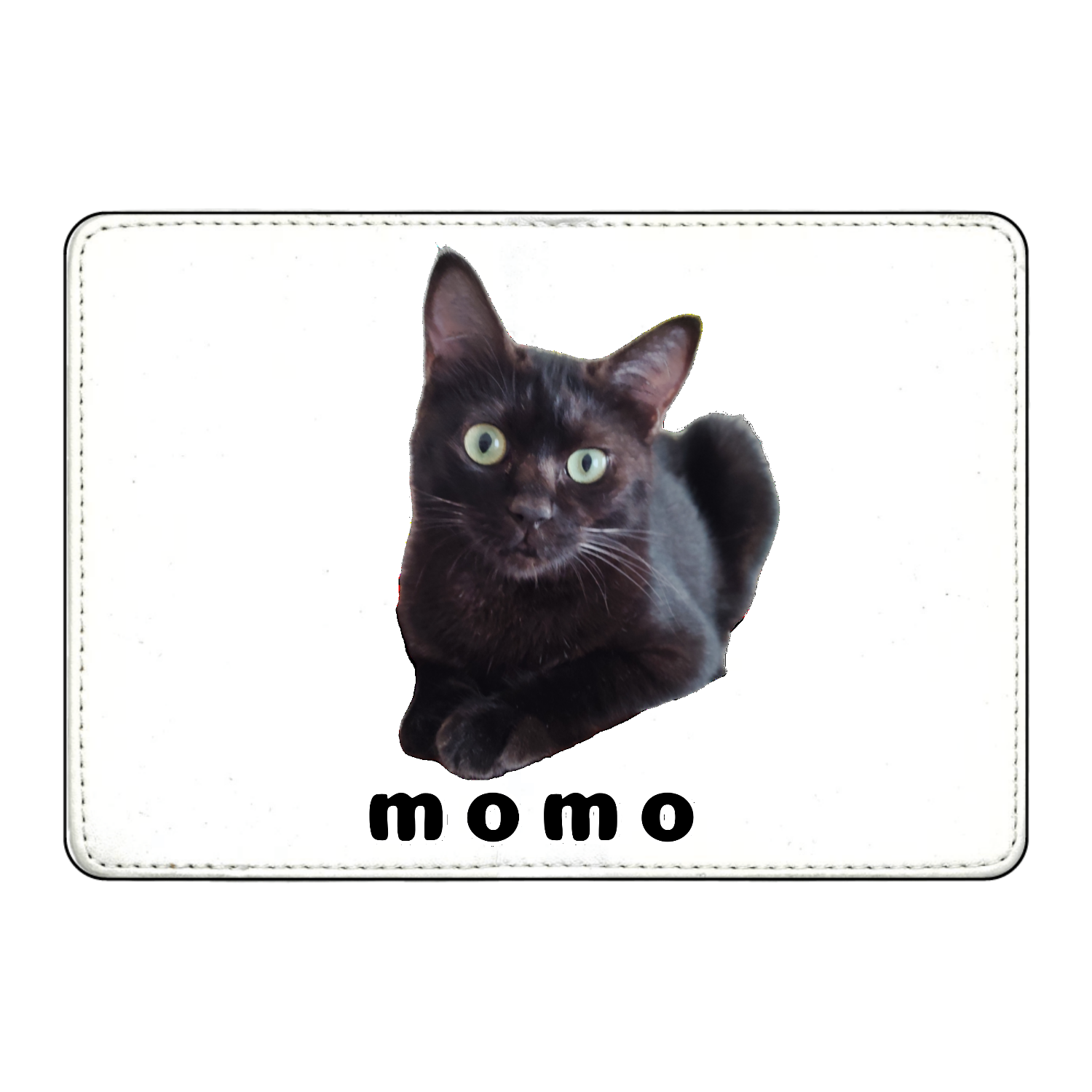 黒ねこももちゃんカード収納ケース1