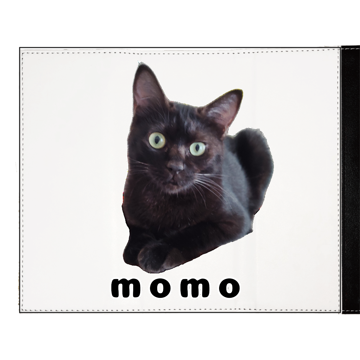 黒ねこももちゃんメガネケース1