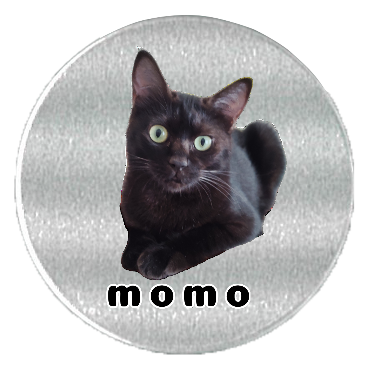 黒ねこももちゃん アルミスクリュー缶(S)