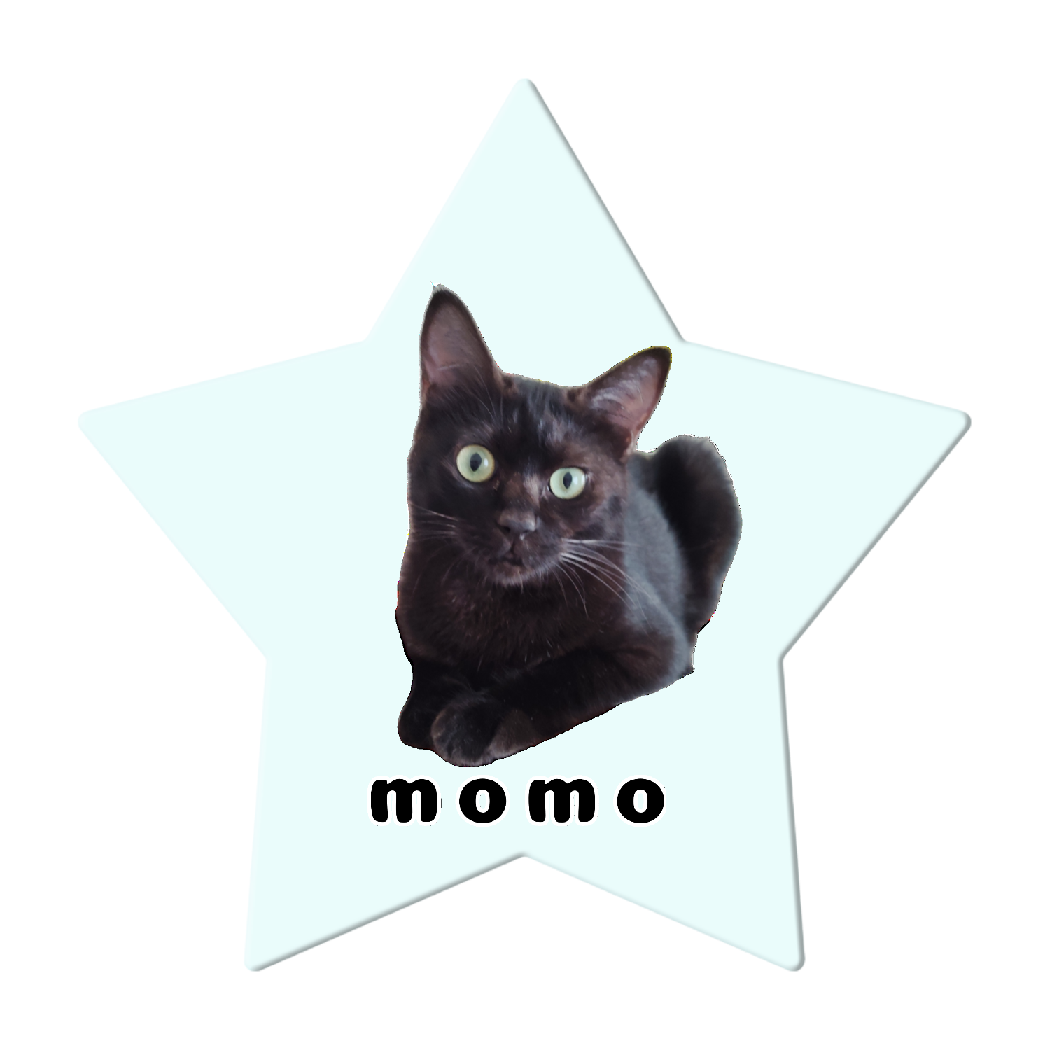 黒ねこももちゃん アクリルコースター 星形