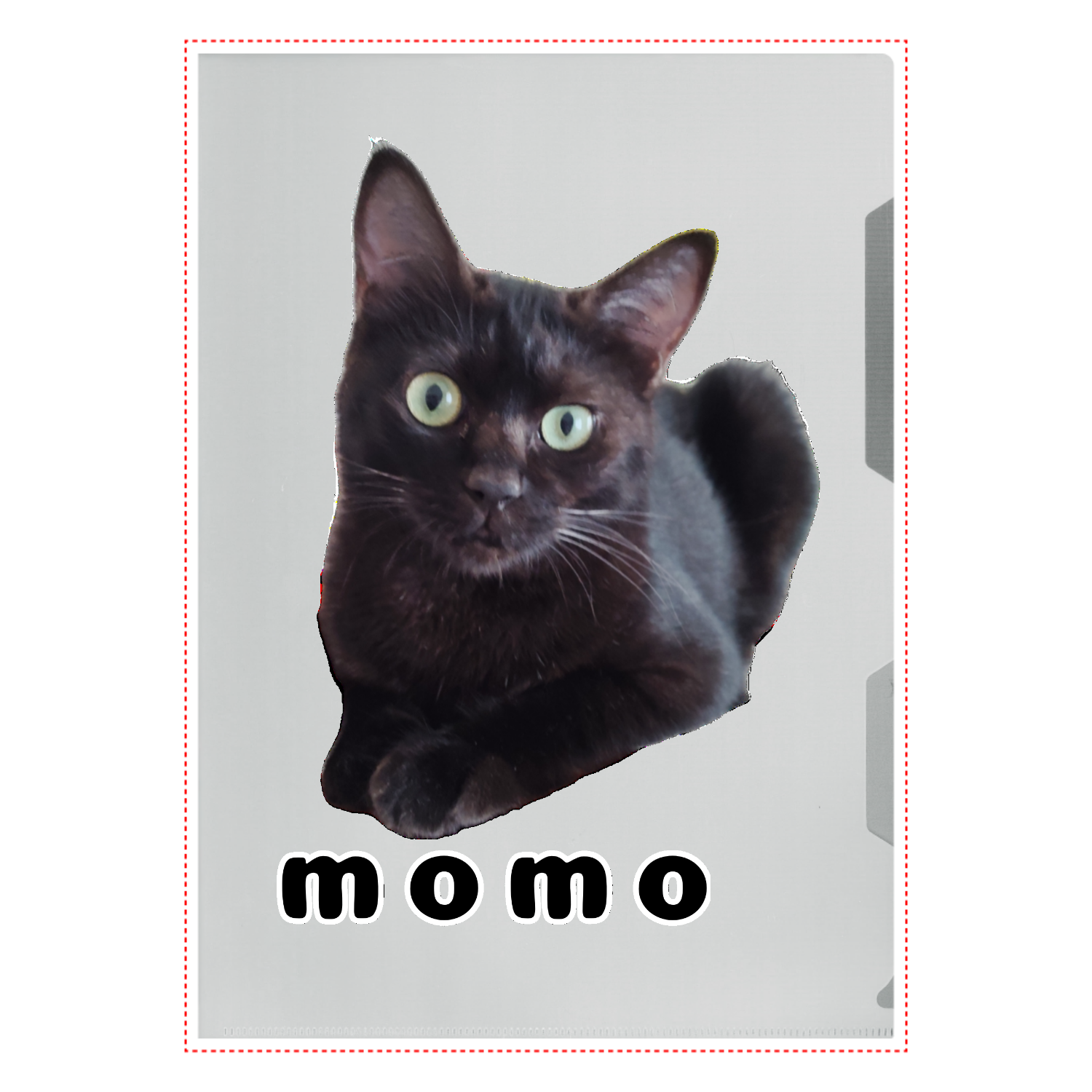 黒ねこももちゃん A4クリアファイル