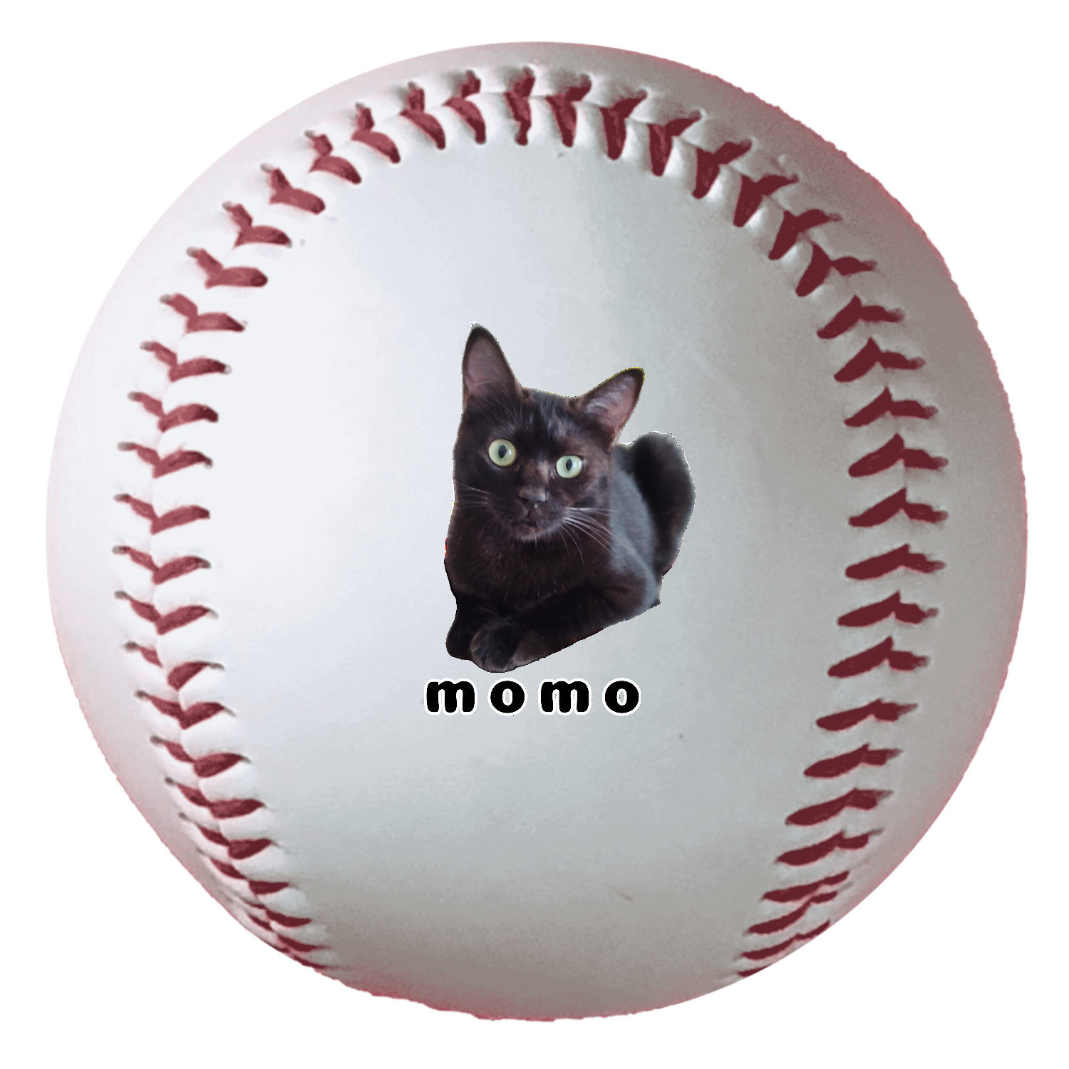 黒ねこももちゃん 野球ボール（硬式）