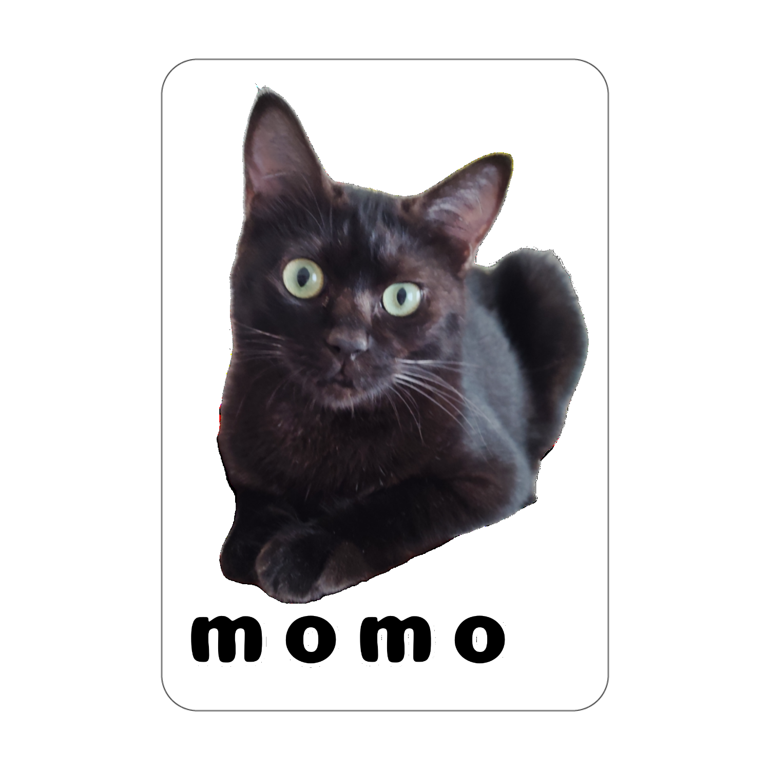 黒ねこももちゃん アクリルカード　W59×H86