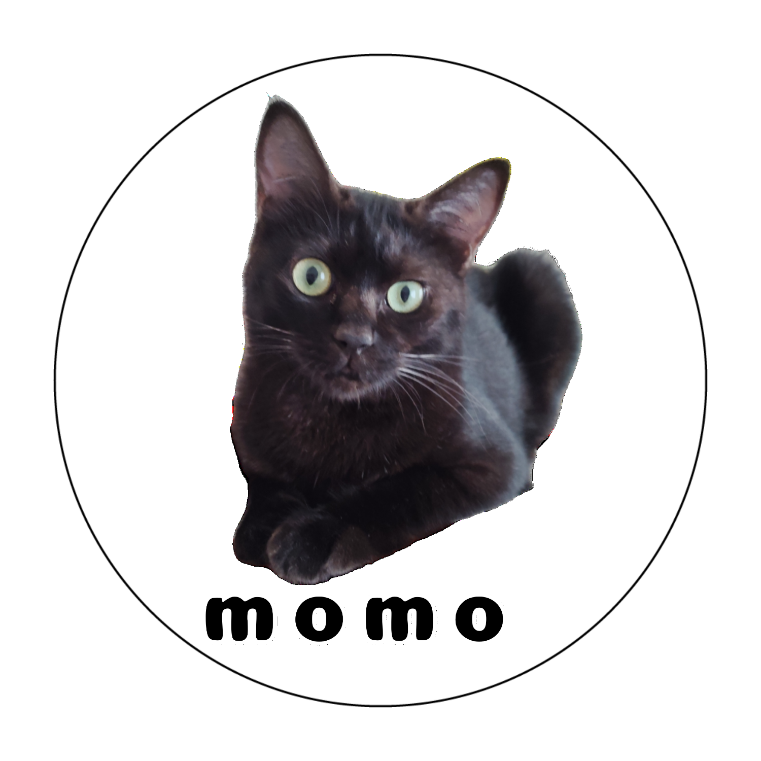 黒ねこももちゃん 捺印マット(ラウンド)