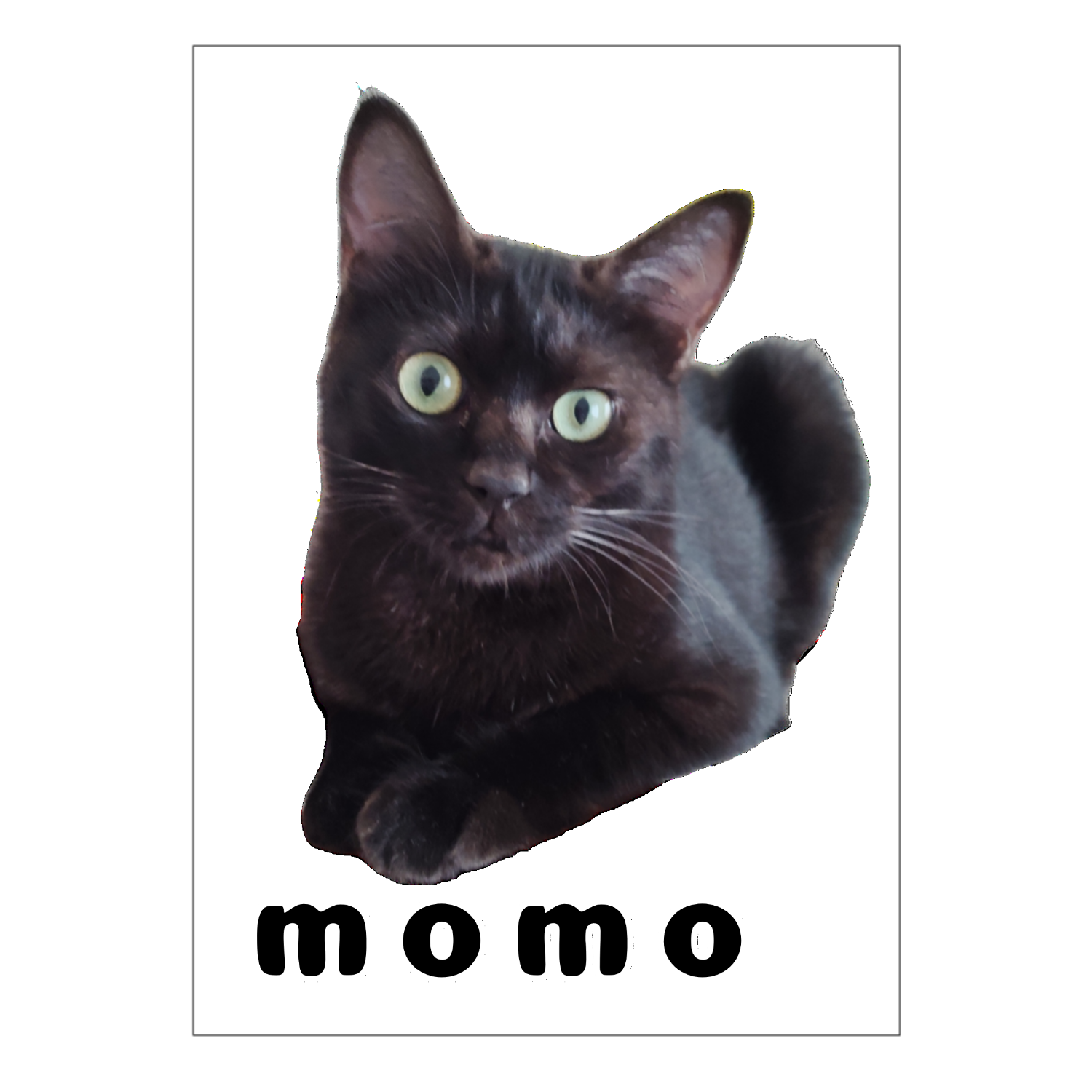 黒ねこももちゃん オリジナル台紙10枚組（OPP袋付）