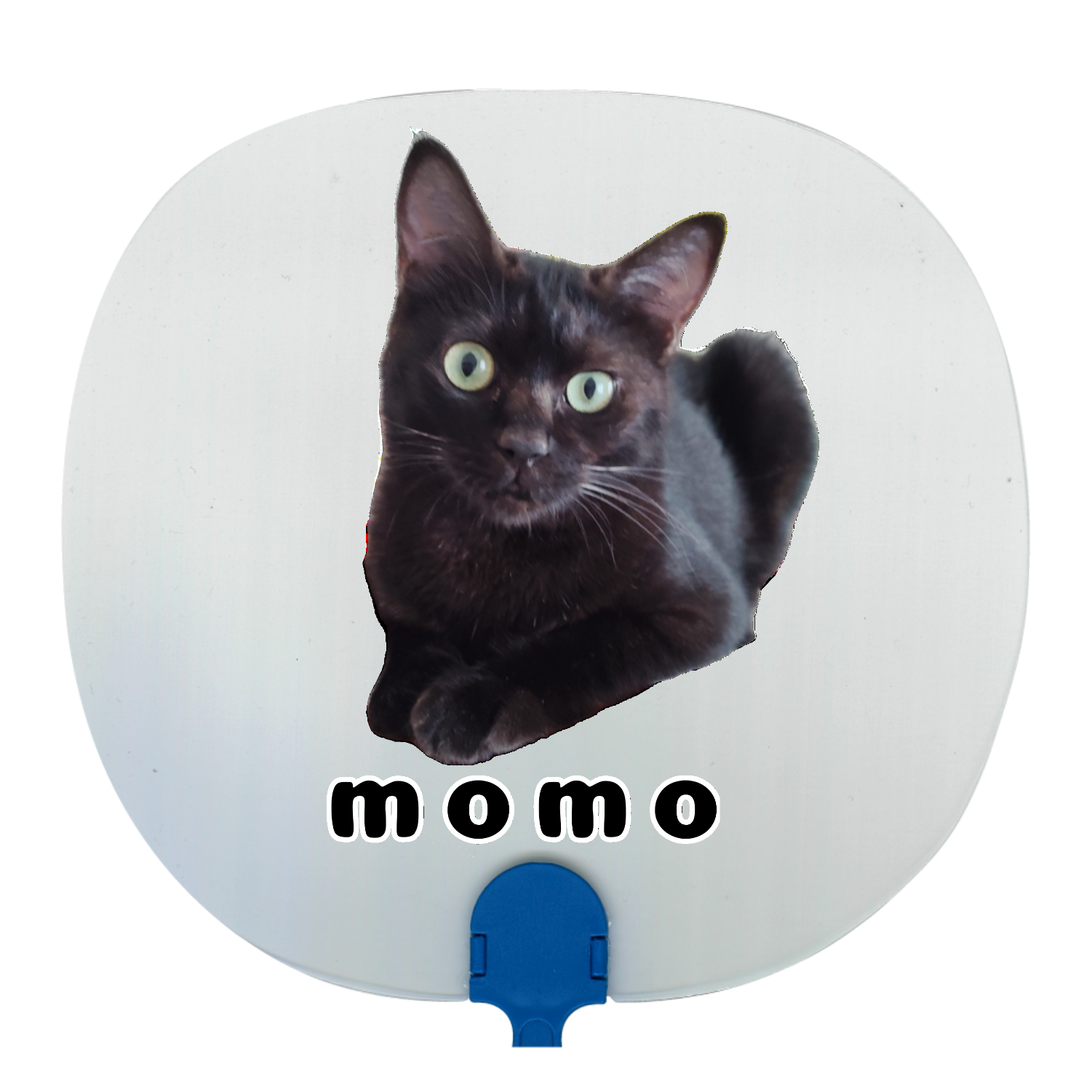 黒ねこももちゃん 透明うちわ