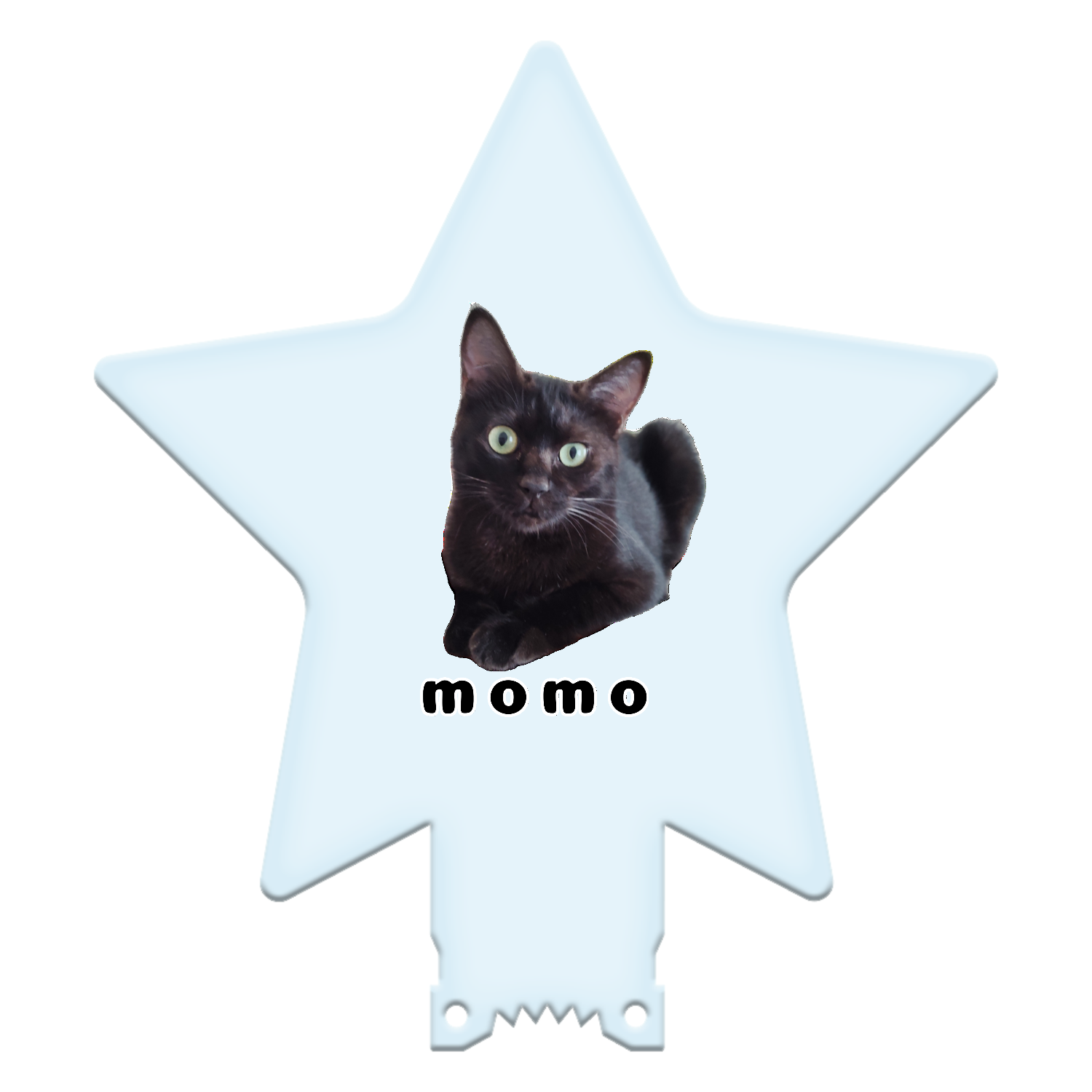 黒ねこももちゃん 星型アクリルペンライト