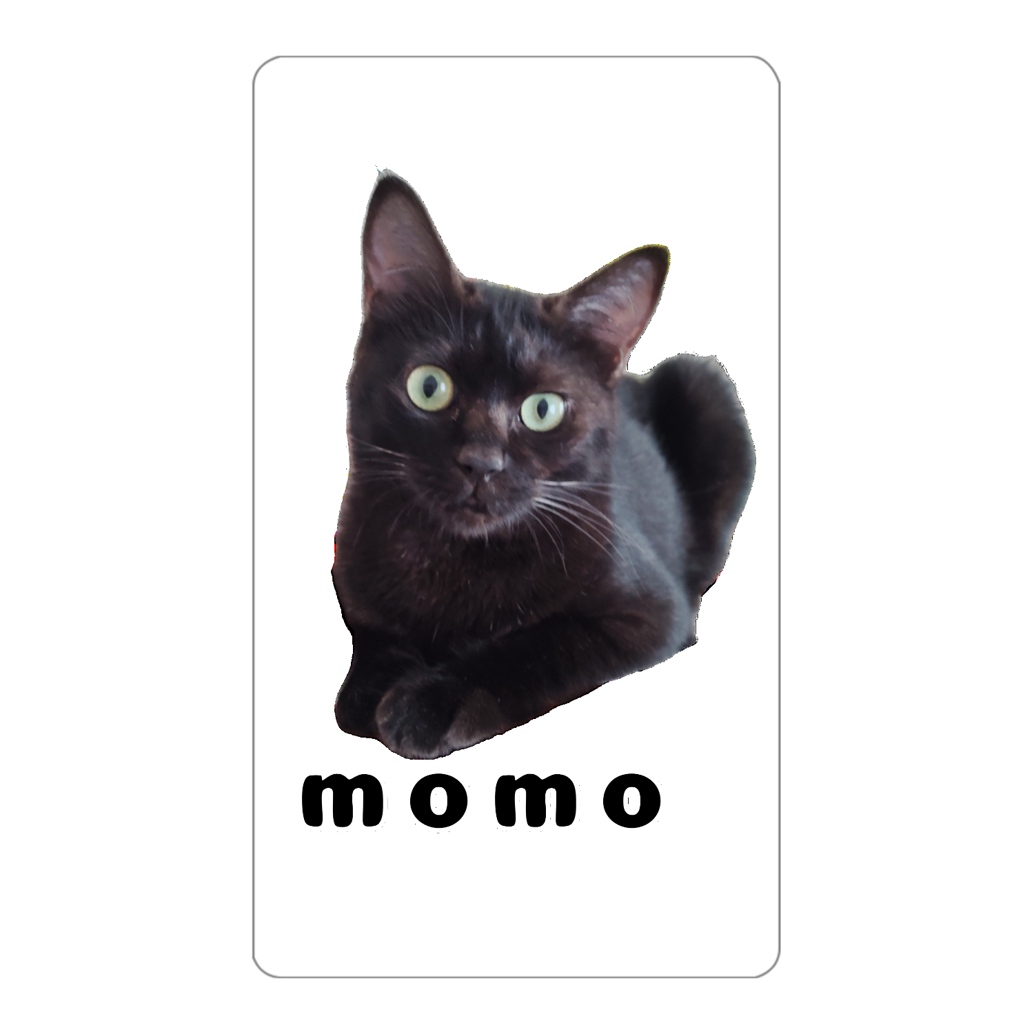 黒ねこももちゃん インジケータ無バッテリー4000mAh