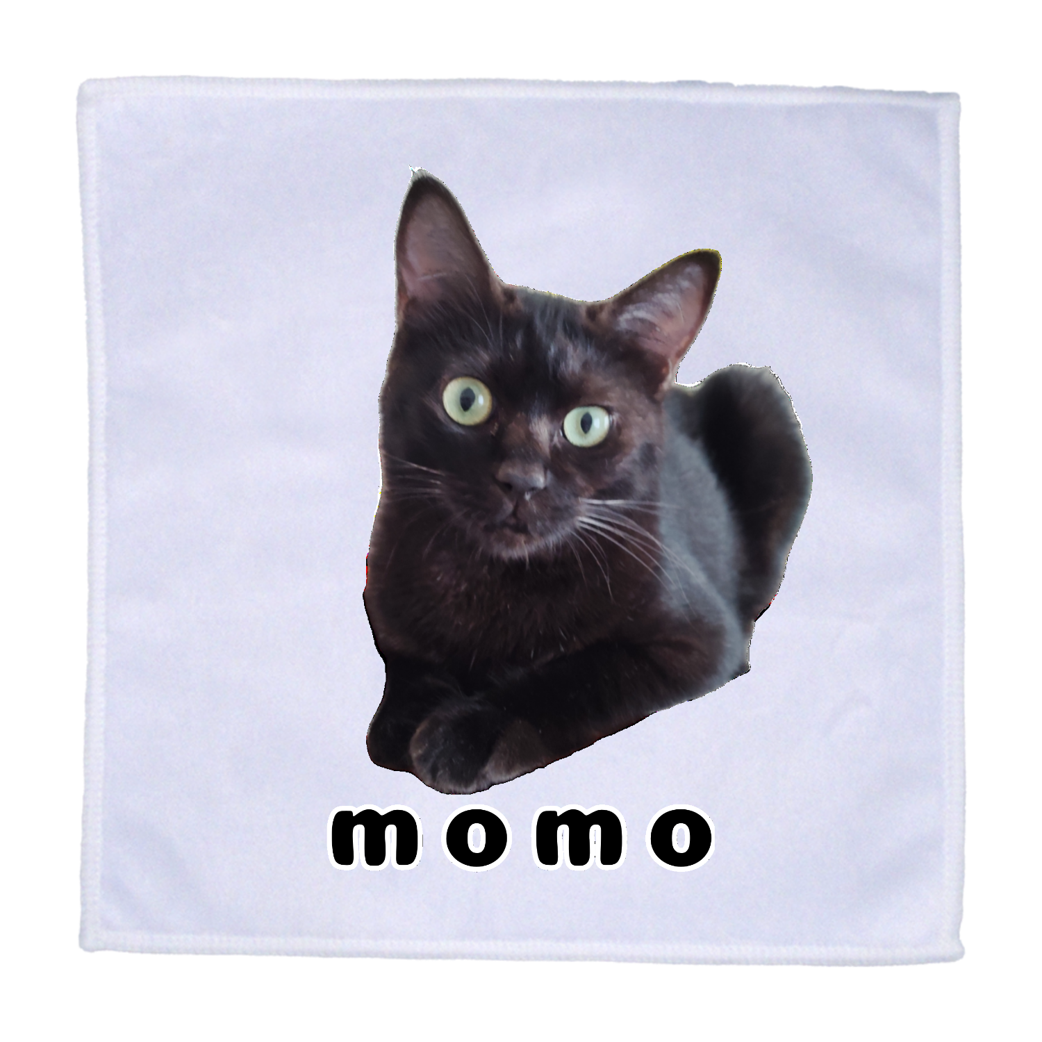 黒ねこももちゃん ラビットタッチ 25cmミニハンカチ