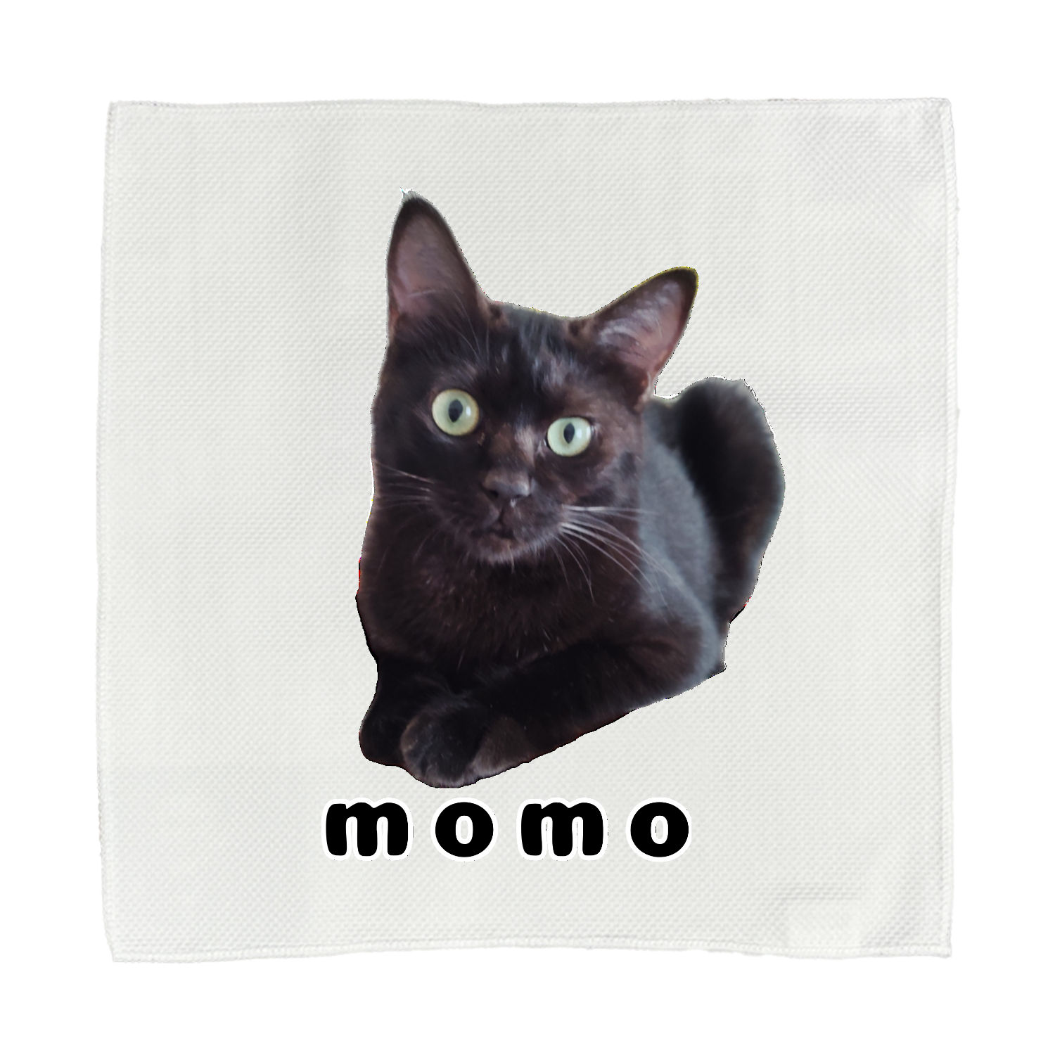 黒ねこももちゃん 接触冷感 高発色 全面印刷 クールウォッシュタオル