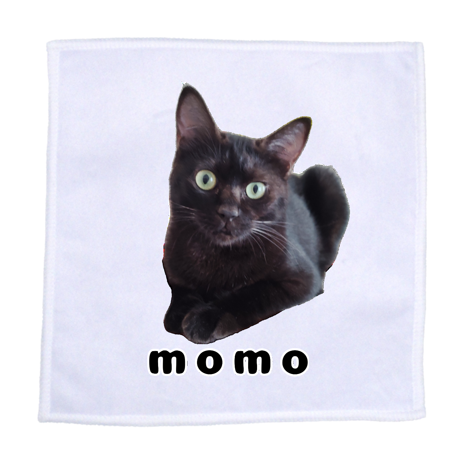 黒ねこももちゃん ラビットタッチ 20cmミニハンカチ