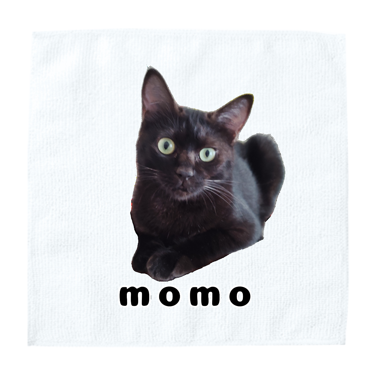 黒ねこももちゃん ソフトタッチミニタオル