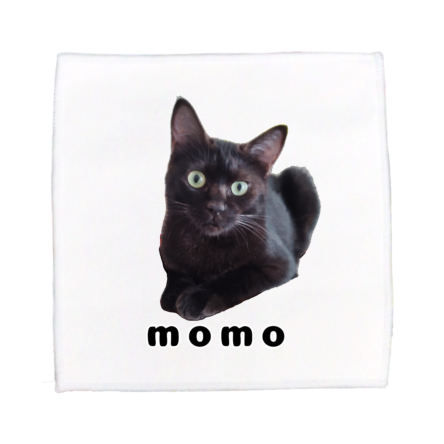 黒ねこももちゃん ピクチャースタイル ミニタオル