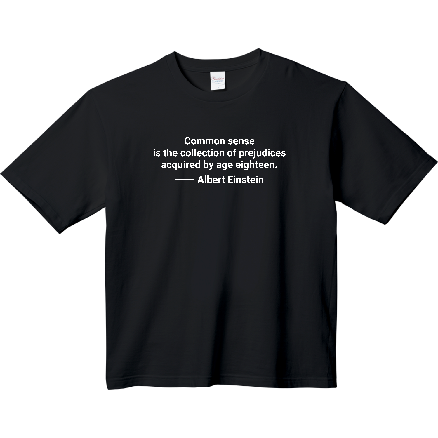 【アインシュタイン名言・英文】常識とは１８歳までに身につけた偏見のコレクションである（Common sense is the collection～） ヘビーウェイト ビッグシルエットTシャツ
