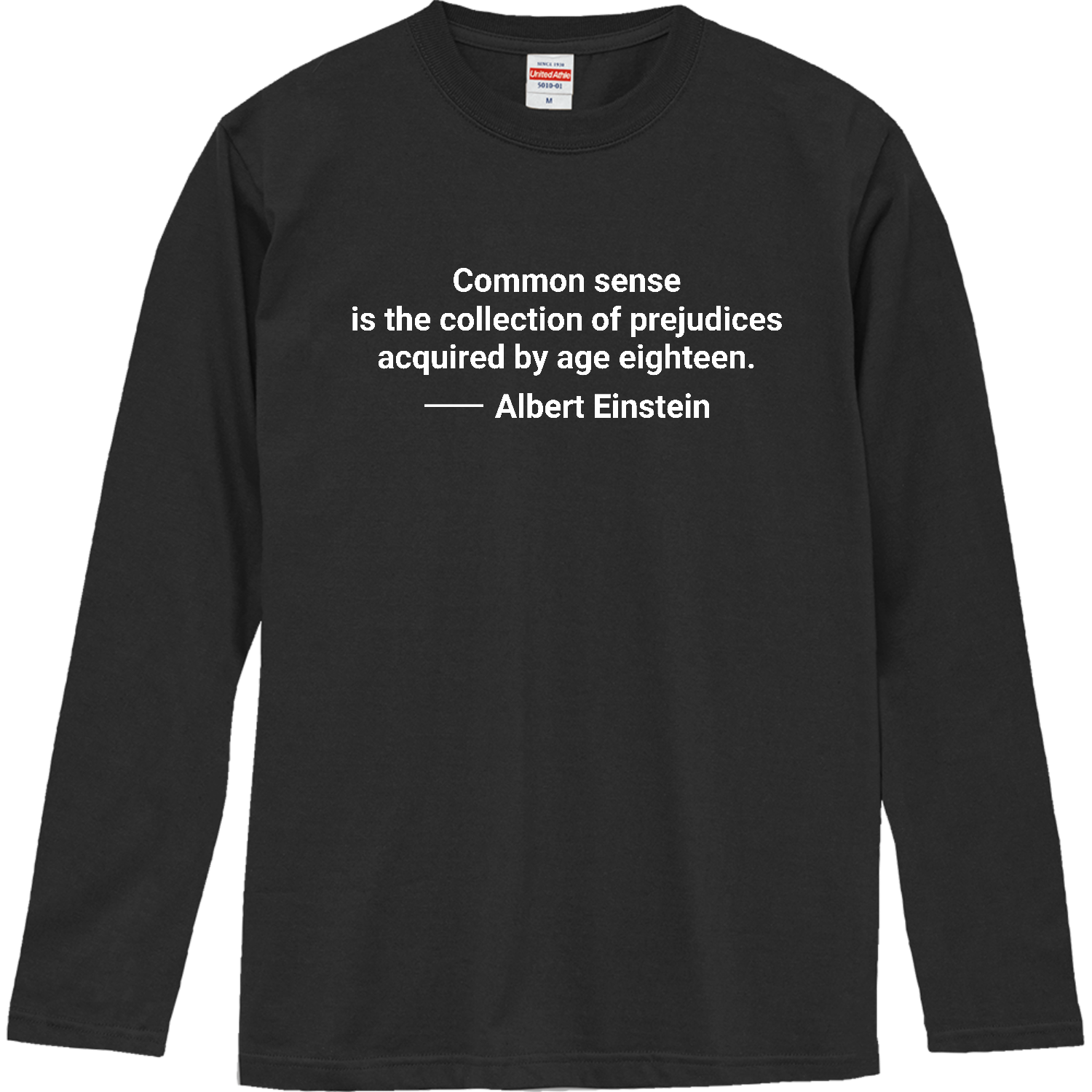 【アインシュタイン名言・英文】常識とは１８歳までに身につけた偏見のコレクションである（Common sense is the collection～） ロングスリーブTシャツ