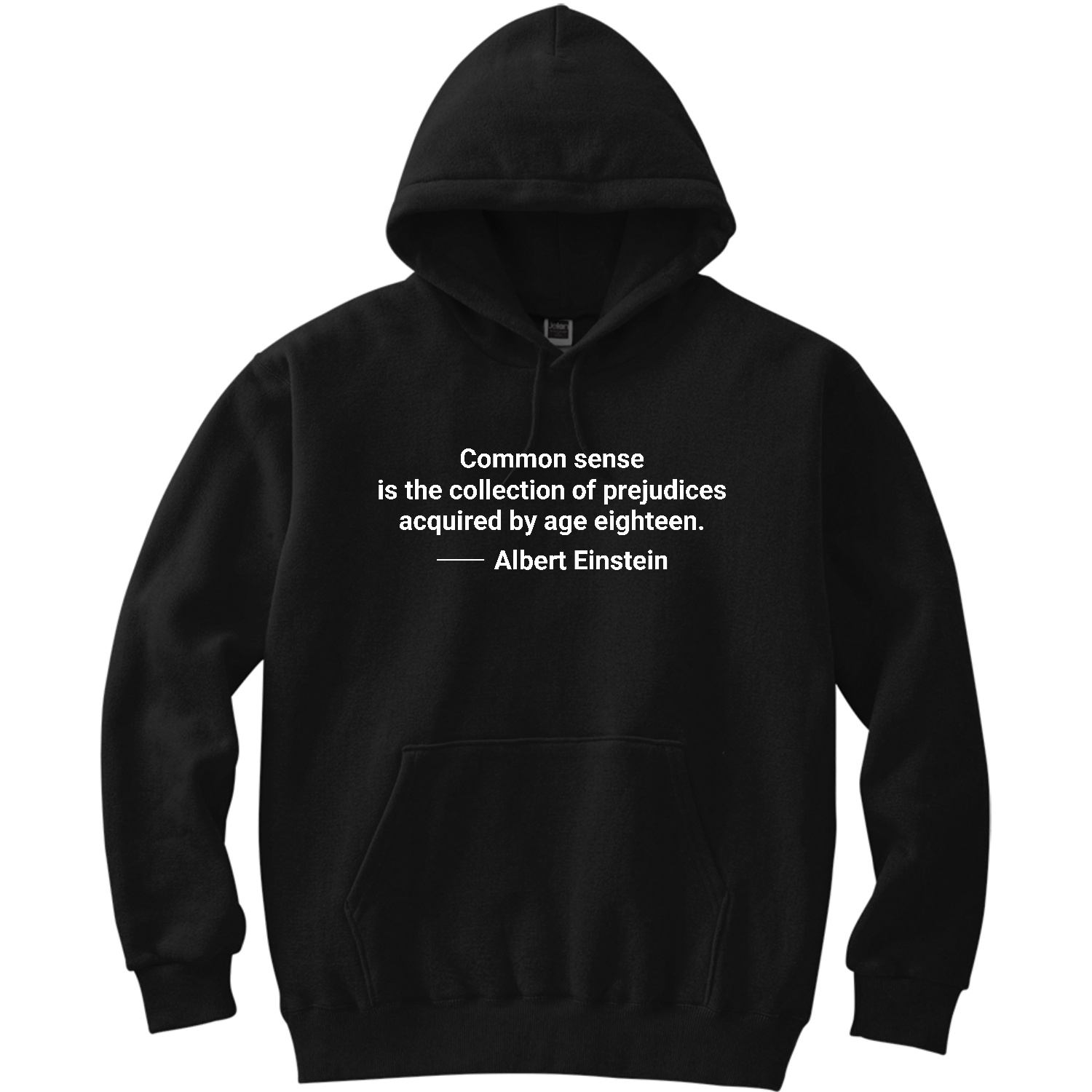 【アインシュタイン名言・英文】常識とは１８歳までに身につけた偏見のコレクションである（Common sense is the collection～） 軽量プルパーカー (長袖プリント)