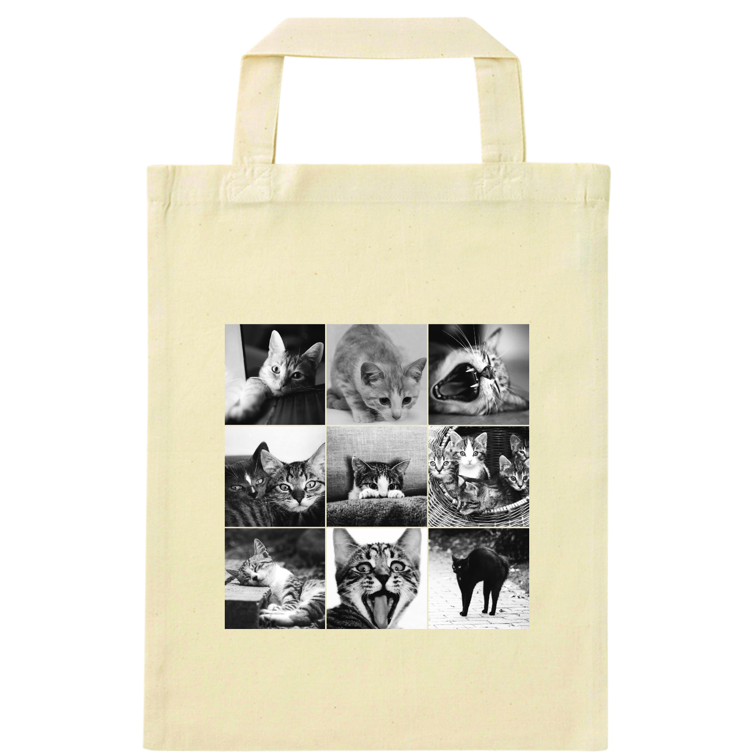 cat day ナチュラルファイルバッグ