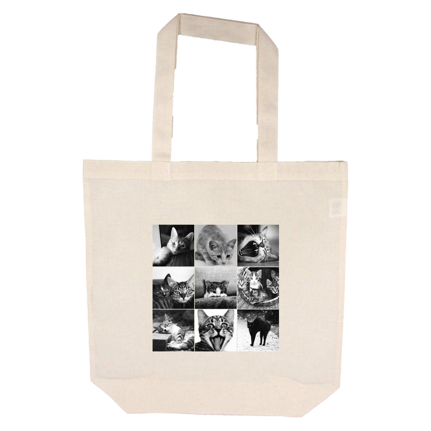 cat day コロリドコットンバッグ(M)