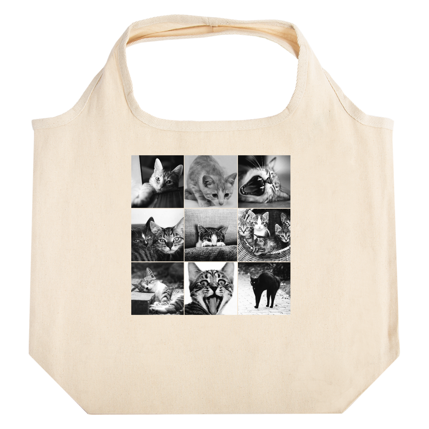 cat day たためるマルシェ【白プリントあり】