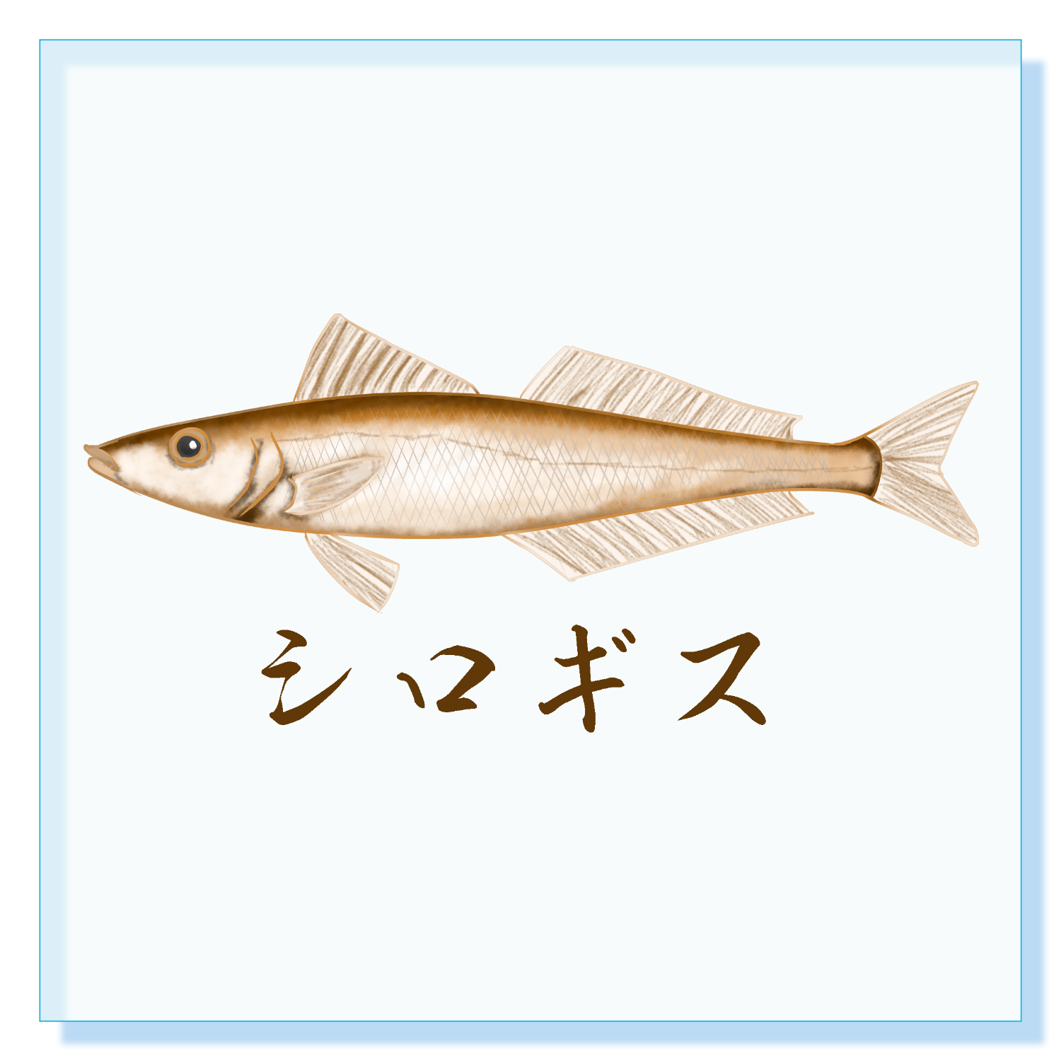 ザ・シロギス！ アクリルブロック (100 x 100mm)