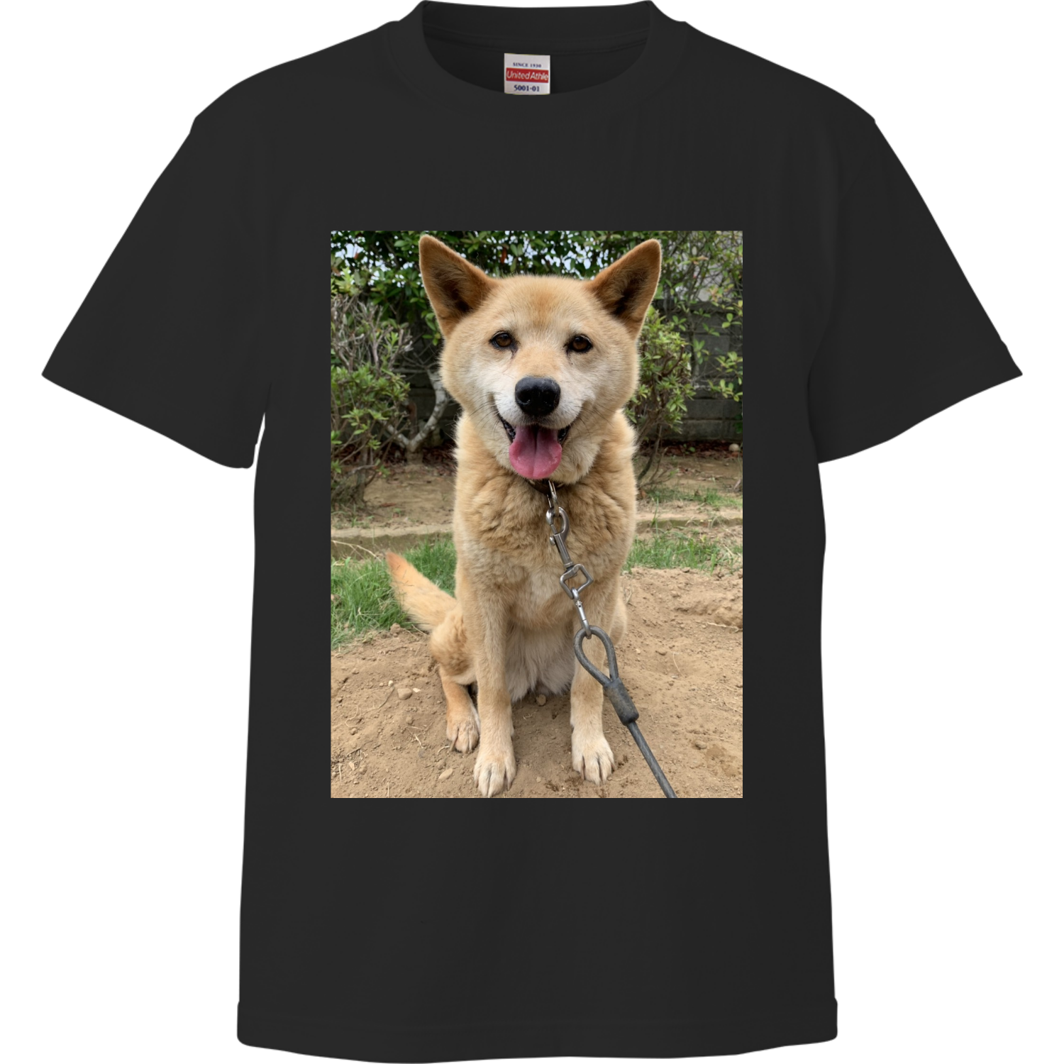 17歳犬ちいTシャツ（文字なし）ハイクオリティーTシャツ1
