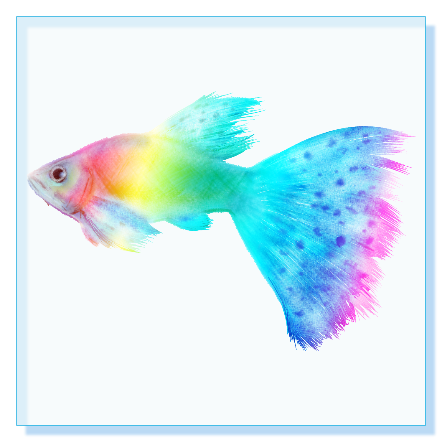 鑑賞魚オリジナルグッズ通販ならオリラボマーケット