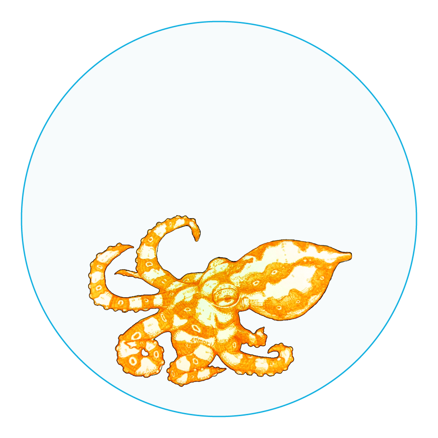 ヒョウモンダコ アクリルコースター（丸）