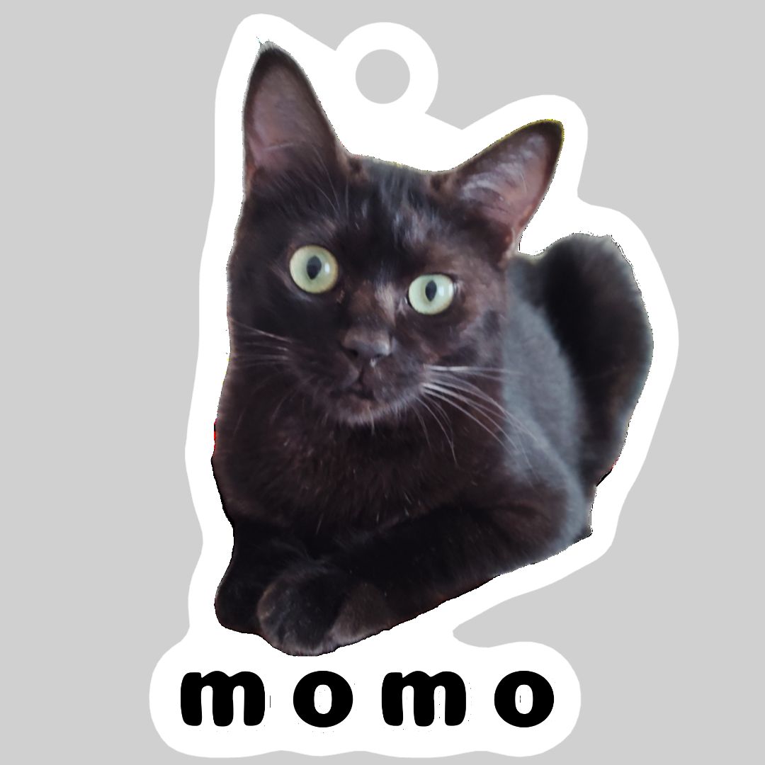 黒ねこももちゃん ダイカットアクリルキーホルダー(6×6cm)
