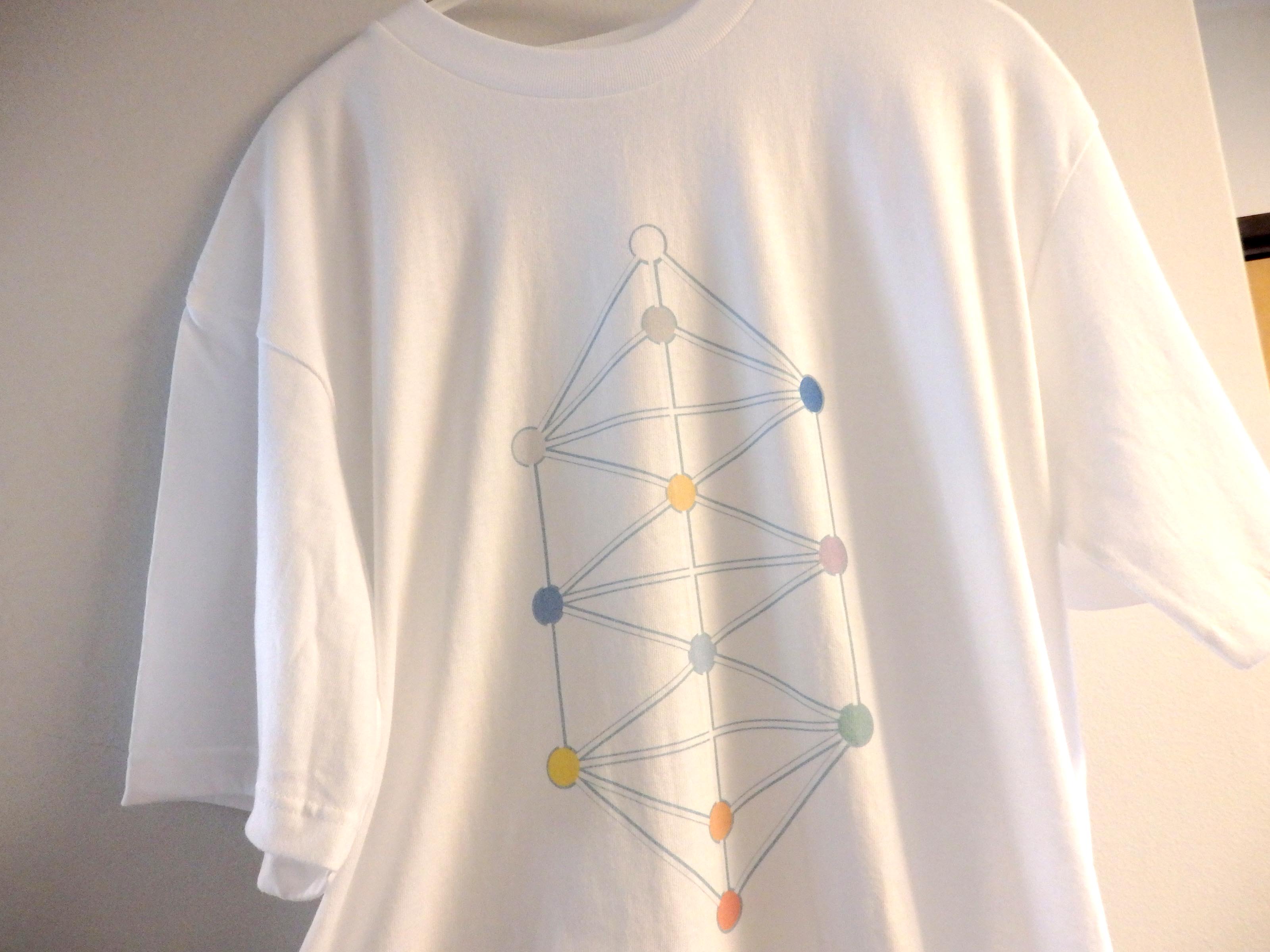 カサラグリッド　Tシャツ ヘビーウェイト ビッグシルエットTシャツ