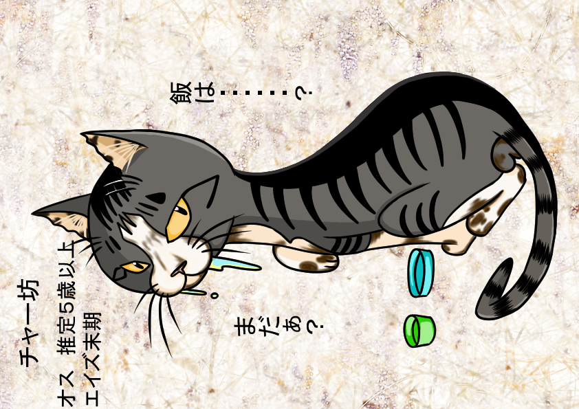 2024年 チャー坊イラスト PUレザーパスケース(チェーン付き)