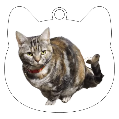 F0号◆猫◆新品【パステル＋水彩＋色鉛筆＋アクリル】◆防水丁寧梱包◆猫の絵 F0号◇猫◇新品【パステル＋水彩＋色鉛筆＋アクリル】◇防水丁寧