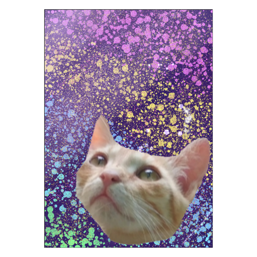 宇宙を見たかったキャット ポスター Ａ１サイズ